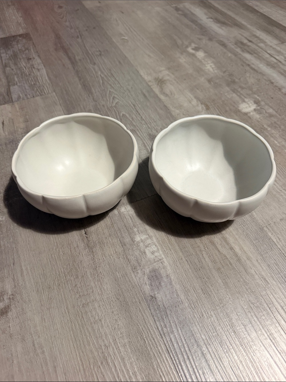 Pottery barn pumpkin bowl set of two